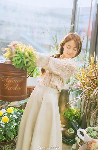 斗破苍穹年番观看免费完整观看